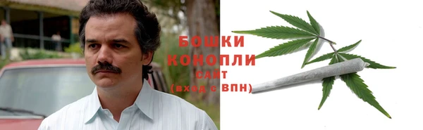 сатива Волоколамск