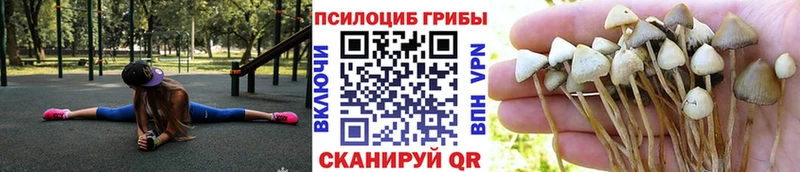 Галлюциногенные грибы прущие грибы  MEGA tor  Новохопёрск 